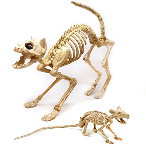 Spooktacular Creations Skeleton Cat & Rat Skeleton for Halloween Skeleton Animal Decorations, Skeleton Yard DÃ©cor and Reaper Bones Animals