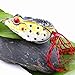 Sougayilang Hollow Frog Fishing Lures Soft Topwater Baits with Tackle Box for Bass Snakehead Saltwater Freshwater Fishing (6Pcs Frog Lure Only)