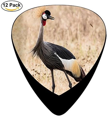 Crane Celluloid Guitar Picks 12 Pack Includes Thin,Medium,Heavy Gauges For Electric Acoustic Guitar
