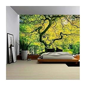 BRAND_NAMEAmazing Green Japanese Maple Tree Nature Garden