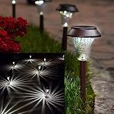 Enchanted Spaces Bronze Solar Path Light, Set of 6, with Glass Lens, Metal Ground Stake, and Extra-Bright LED for Lawn, Patio, Yard, Walkway, Driveway