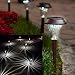 Enchanted Spaces Bronze Solar Path Light, Set of 6, with Glass Lens, Metal Ground Stake, and Extra-Bright LED for Lawn, Patio, Yard, Walkway, Driveway primary