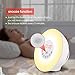 Wake-up Light, Sunrise Sunset Simulation Alarm Clock Night Emotion Touch Control Light, 6 Colors Atmosphere Lamp, 10 Brightness Bedside Lamp with 6 Natural Sounds , FM Radio and USB Charger