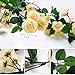 YILIYAJIA 3PCS Artificial Rose Garlands Silk Fake Rose Flowers Green Leaves Vine for Home Hotel Office Wedding Party Garden Craft Art Decor (Champagne Color)