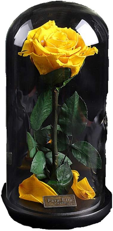 Amazon 美しさと獣のローズキット恋人のためのガラスドームギフトのバレンタインデーの母の日に倒れた花びらの手作りの保存された新鮮な花 枯れたバラ 色 黄 造花 オンライン通販