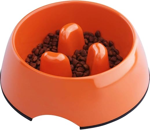 dog bowl to stop gulping