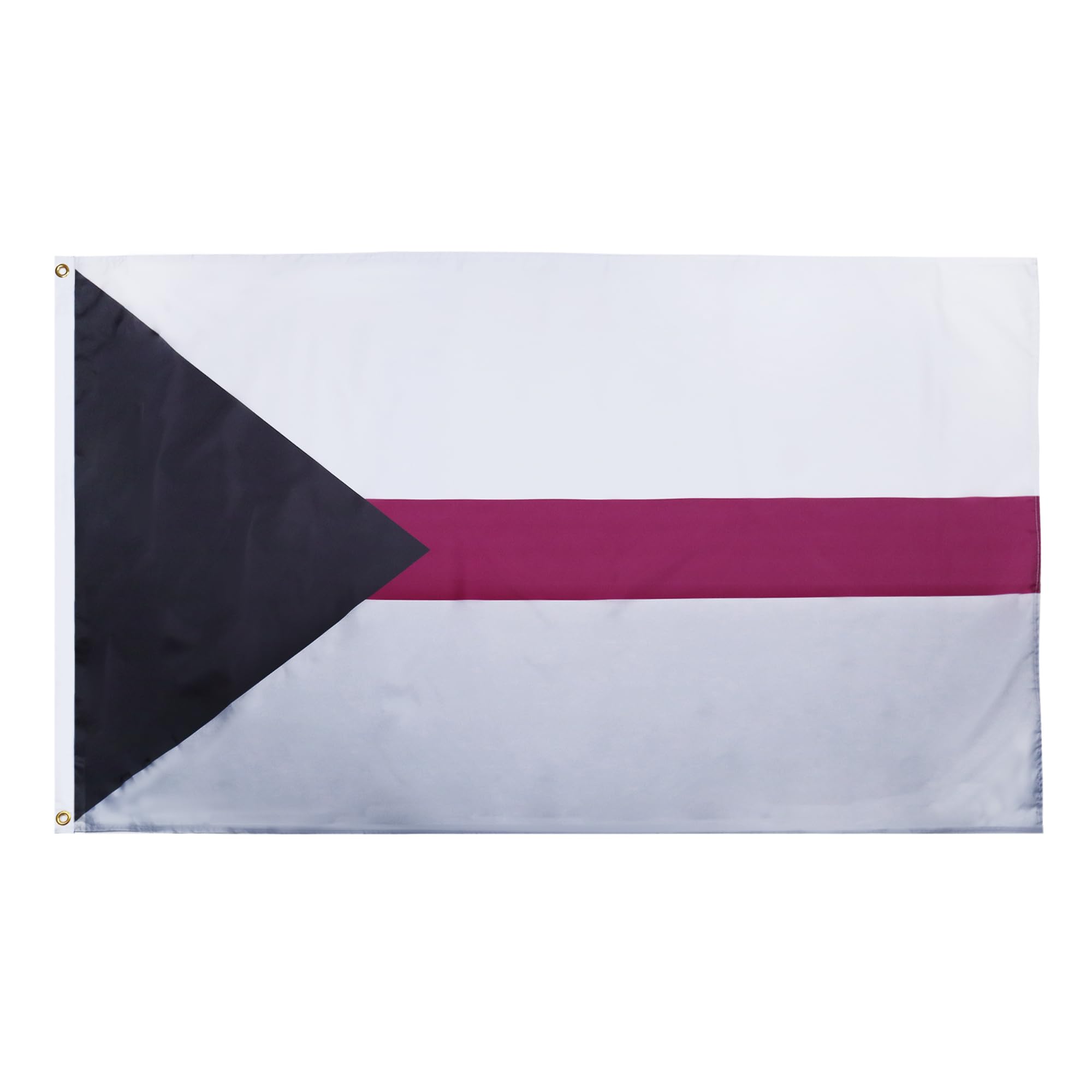 AZ FLAG - Demisexuality Flag - 2x3 Ft - 100D Polyester Demisexual Banner with Two Metal Grommets - Fade Resistant - Vivid Colors - 2' x 3' Feet - 90x60 Cm