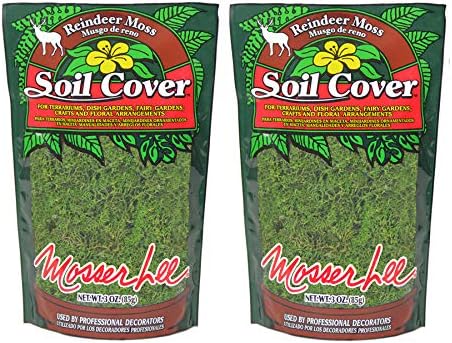 Mosser Lee ML8005 Reindeer Moss, Green 3 oz. 2 Pack