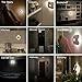 Motion Sensor Night Light Built-in Lithium Battery Powered Rechargeable Wireless LED Clover Style Night Lamp, Wall Light Stick on Anywhere, Safe for Kids.(Warm White)