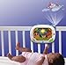 VTech Baby Lil' Critters Soothe and Surprise Light (Frustration Free Packaging)