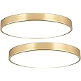 SOTTAE 2 Pack 9 Inch Brushed Gold Metal Flush Mount LED Ceiling Light,3000K-5000K Thin Round Low Profile Ceiling Lamp,Modern Surface Mount Ceiling Light Fixtures for Bedroom Hallway Bathroom