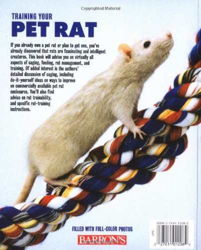 training your rat