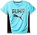 PUMA Big Boys' Athletic Tee Shirts, Blue Atoll, Large (14/16)