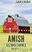 Amish Second Chance by Sandra Becker