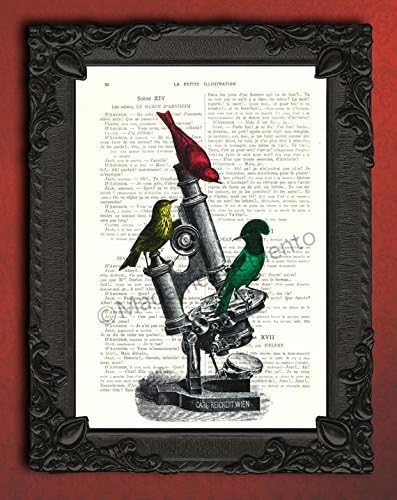 Birds on antique microscope artwork, bird wall decor, red yellow green dorm decor art print on book page, geek gifts