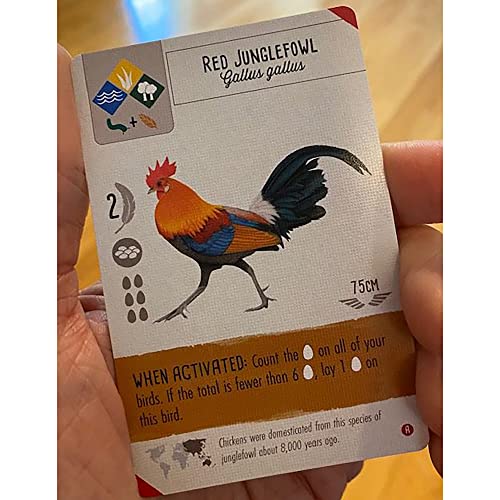 Stonemaier Games Wingspan Asia Expansion, Strategy Board Game, Stand