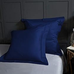 BEDSUM 2 Pcs Microfiber European Pillow