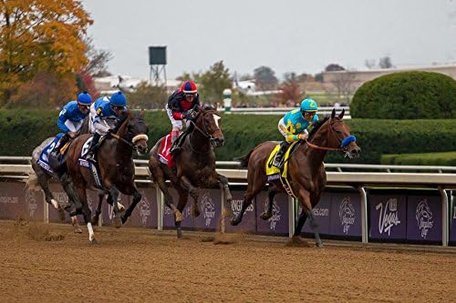 Fine Art Print of American Pharoah Winning the Breeders' Cup, Keeneland Lexington Kentucky #1, Photo, Picture