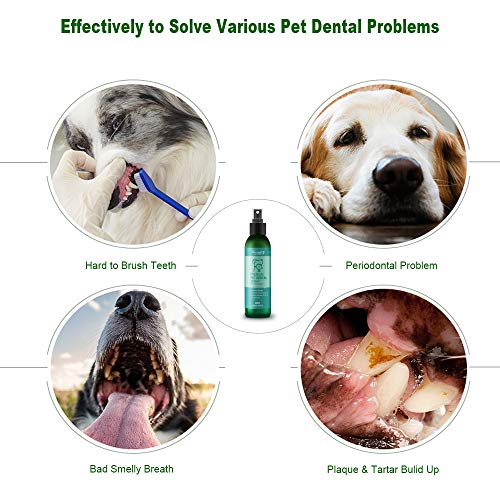 Fancymay Premium Pet Dental Spray (Large - 8Oz) for Dogs and Cats, Eliminate Bad Dog Breath and Bad Cat Breath, Fights Pet Tartar Build Up, Dog Dental Care To Refresh Breath