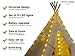 Nature's Blossom Fairy Lights for Kids Teepee Tents, Battery Operated. Set of 5 LED Strings. Universal Design Fits Most Kids Indoor Tipi Playhouses. Teepee Tent is Not Included with The Light Set.