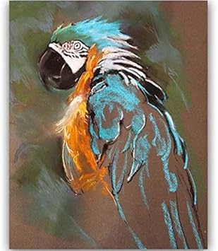 Redwpq Dibujos Para Colorear Bricolaje Dibujos Por Numeros Con Colores Animales Coloreados Dibujo De Ave Pintura Pintar Por Numeros Tamano De Casa 40x50cm Amazon Es Juguetes Y Juegos