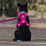 Domi LED Dog Harness, USB Rechargeable Glowing Pet Harness, Comfortable Mesh Light Up Dog Vest for Your Large Dogs(L,Pink)