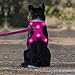 DOMIGLOW Light Up Dog Harness, No-Pull LED Dog Harness Light, Rechargeable Glowing Pet Harness for Night Walking & Camping (Hotpink, Small)