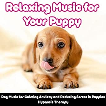 music for puppy