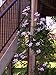 Narrow Clematis Plant Trellis for Climbing Plants Outdoor Support Vines on Deck Post and Other Tight Spaces (1 Pack)