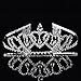 Crystal Rhinestone Wedding Party Flower Girl hairband Kids Tiara Crown Headband