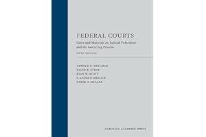 Federal Courts: Cases and Materials on Judicial Federalism and the Lawyering Process