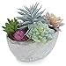 MyGift 7-Inch Assorted Artificial Succulent Plants in Rustic Textured Pulp Pot