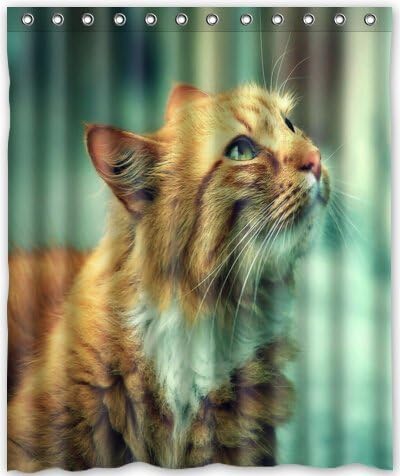 Fhddk Cat Theme Print 100% Polyester Bathroom Shower Curtain Shower Rings Included