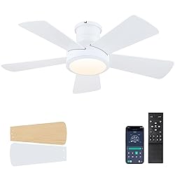 Ceiling Fans with Lights,Modern Low Profile Ceiling