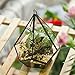 NCYP Mini Wall Hanging Glass Terrarium, 4.5 x 4.5 x 5.3 inches Diamond Shape Geometric Terrarium for Succulent Plant, Desktop Decor, Mini Centerpiece, Modern (Plants Not Included)