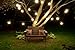 Bulbrite STRING15/E26-S14KT Outdoor, Garden, Patio, Wedding, Party, Holiday, Lawn, and Landscape String Light w/Incandescent Bulbs, 48-Feet, 15 Lights