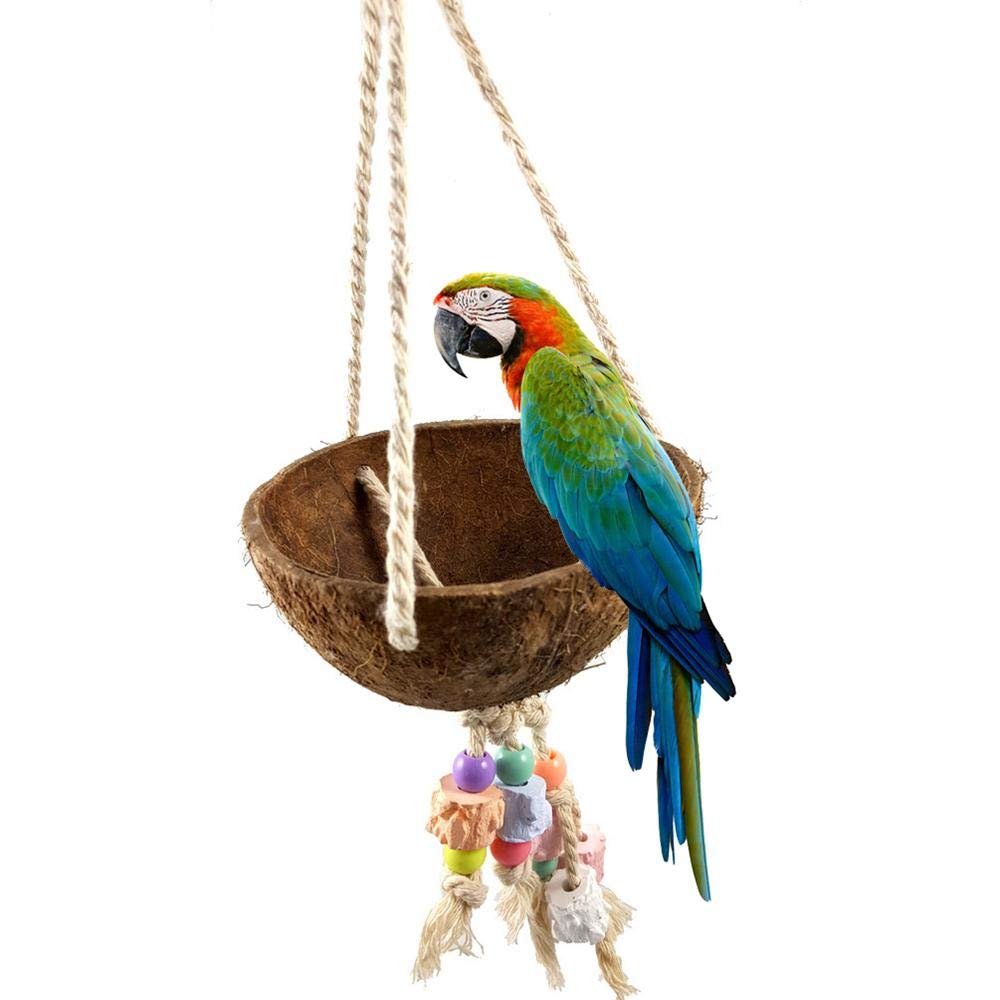 macaw swing