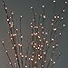 The Light Garden WLWB60 184136 Decorative Lights, 20 in