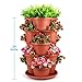 5 Tier Stackable Planter Vertical Garden - Outdoor & Indoor Gardening Tower for Growing Strawberry, Tomato, Herbs, Flowers, Vegetables and Succulents - Hanging Planter for Patio, Yard, Lawn, Porch