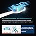 BEUTEESER Electric Toothbrush, H3 Rechargeable Sonic Electric Toothbrush with Induction Wireless Charging Base and 4 Clean Modes and 2 Replacement Heads IPX7 Waterproof
