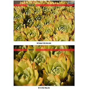 Opteka Achromatic 10x Diopter Close-Up Macro Lens for Canon EOS 80D, 70D, 60D, 50D, 1Ds, 7D, 6D, 5D, 5DS, T6s, T6i, T6, T5i, T5, T4i, T3i, T3 and SL1 Digital SLR Cameras (Fits 52mm and 58mm Threads)