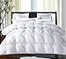 ROSECOSE Luxurious Heavy Goose Down Comforter Twin Size Duvet Insert Pinch Pleat 1200 Thread Count 750+ Fill Power 100% Cotton Shell Hypo-allergenic Down Proof with Tabs (Twin, White,Pinch Pleat)