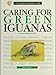Caring for Green Iguanas: A Complete Authoritative Guide by 