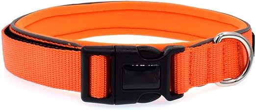 nylon webbing dog collars