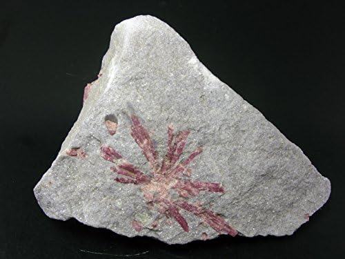 Huge Pink Tourmaline Rubellite On Lepidolite Cluster From Brazil - 5.5"