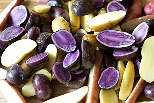 Simply Seed - 15 Piece - Fingerling Potato Seed Mix - Non GMO - Organic Grown - Order Now For Spring Planting - Thumbnail 2