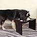 Petsfit Raised Dog Bowls for Large Dogs Wooden Dog Food Stand with 2 Stainless Steel Bowls 21 x 12 x15 Inch
