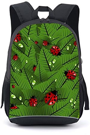 CARBEEN 17 Inch Ball Backpack Students Bookbag
