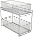 ORG 2-Tier Mesh Steel Mesh Double Sliding Cabinet Basket in Silver (1, Silver)