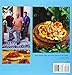 Three Guys from Miami Celebrate Cuban (pb): 100 Great Recipes for Cuban Entertaining